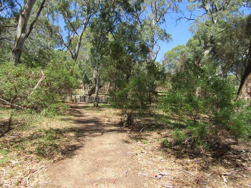 24 Arcoona Avenue, Rostrevor SA 5073