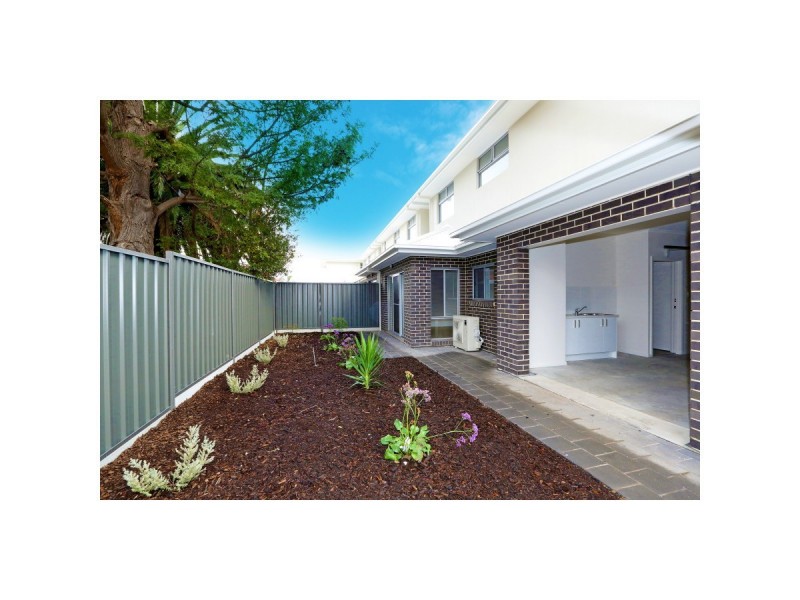 22 Hawker Avenue, Plympton Park SA 5038