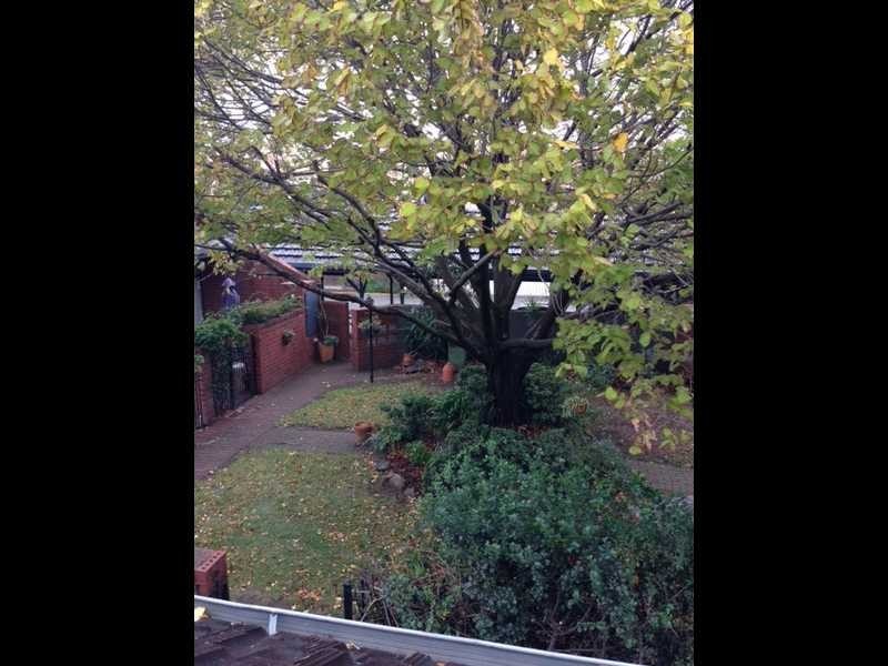 5/9-17 Boulton Mews, North Adelaide SA 5006