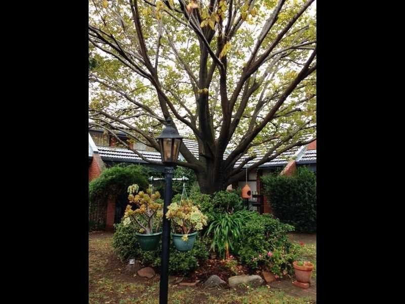 5/9-17 Boulton Mews, North Adelaide SA 5006