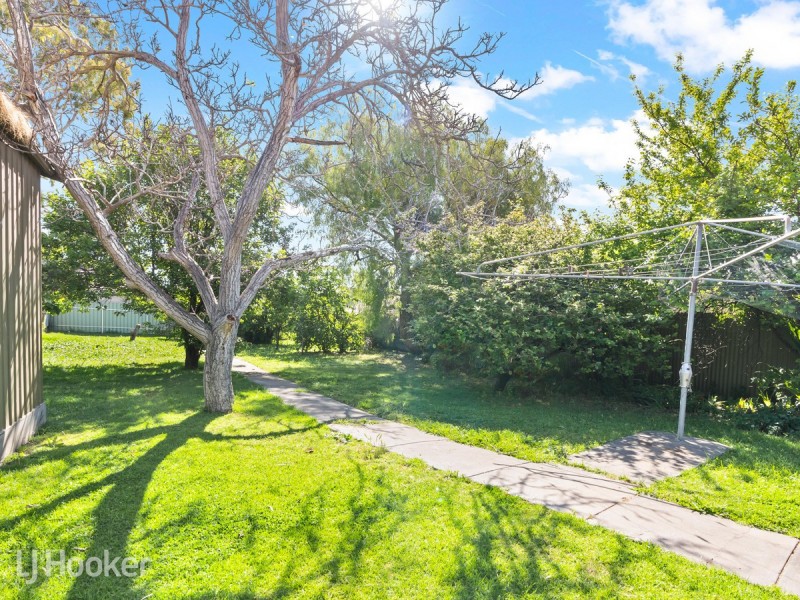 4 Avenue Road, Paradise SA 5075