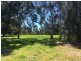 14 Botanic Grove, Campbelltown SA 5074