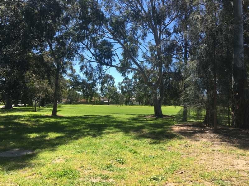 14 Botanic Grove, Campbelltown SA 5074