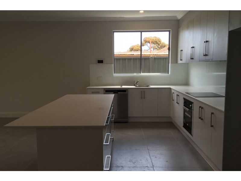 12C Palumbo Ave, Newton SA 5074