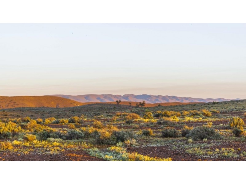 1 Fourth Street, Beltana SA 5730