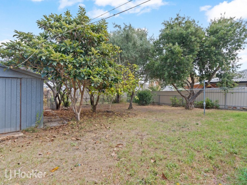 24 Harris Street, Paradise SA 5075