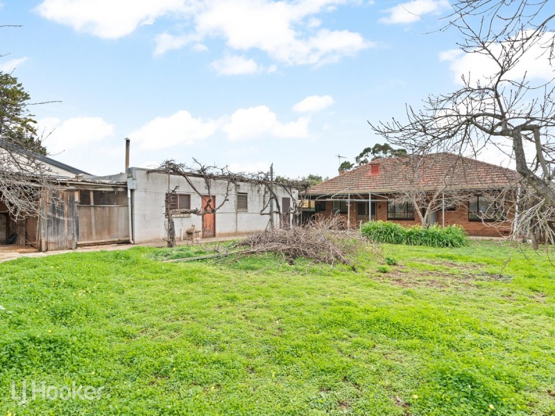 3 Marshall Street, Felixstow SA 5070