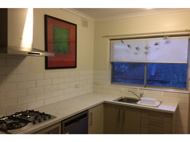 20 Freeman Avenue, Tranmere SA 5073