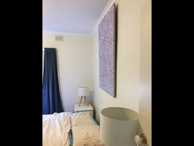 20 Freeman Avenue, Tranmere SA 5073