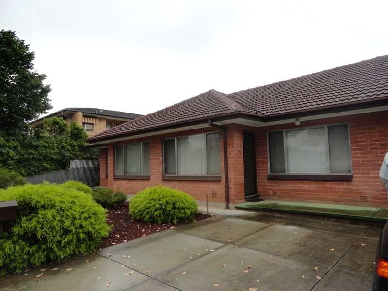 19 Allen Avenue, Glynde SA 5070