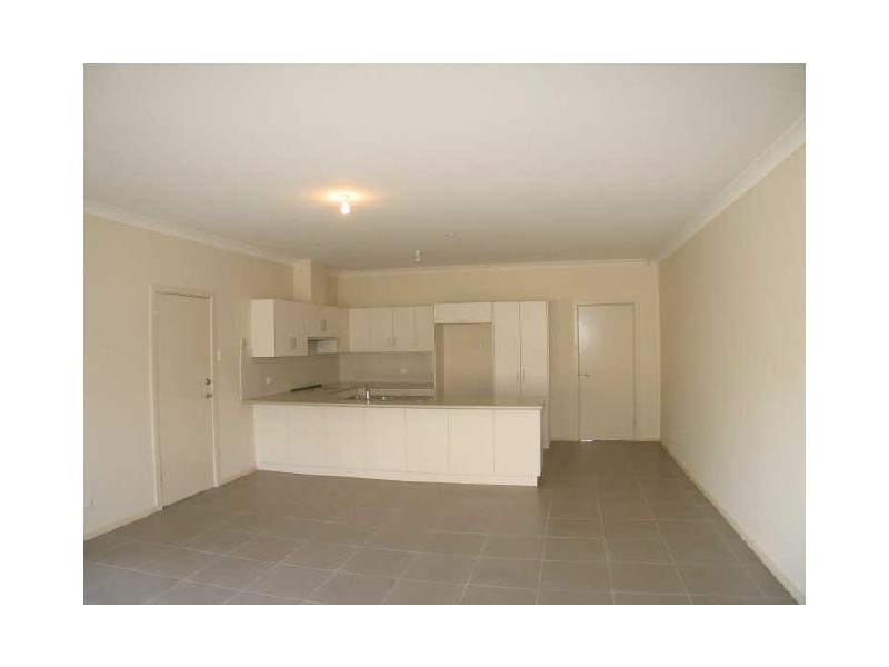 53 Pegasi Avenue, Hope Valley SA 5090