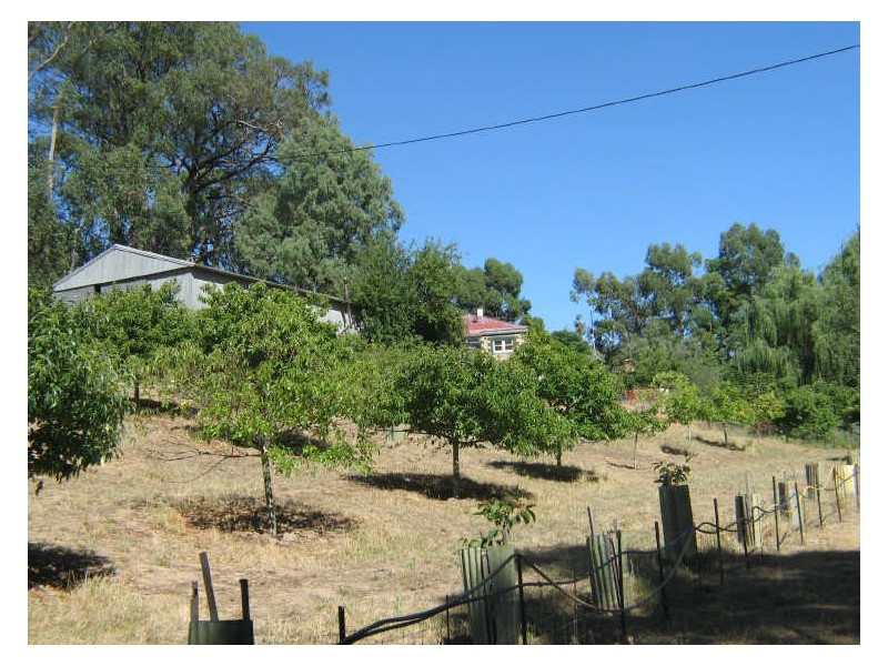 Lot 24 Lobethal Road, Ashton SA 5137