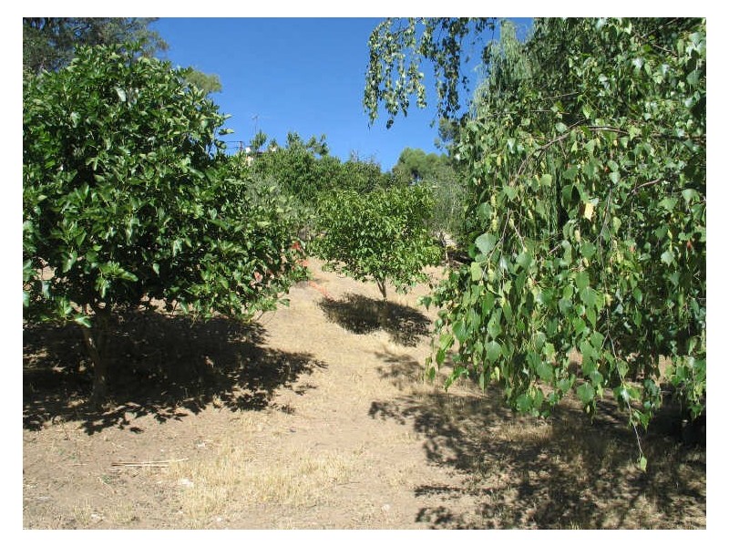 Lot 24 Lobethal Road, Ashton SA 5137