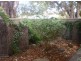 Unit 2/2 Albert Avenue, Tranmere SA 5073