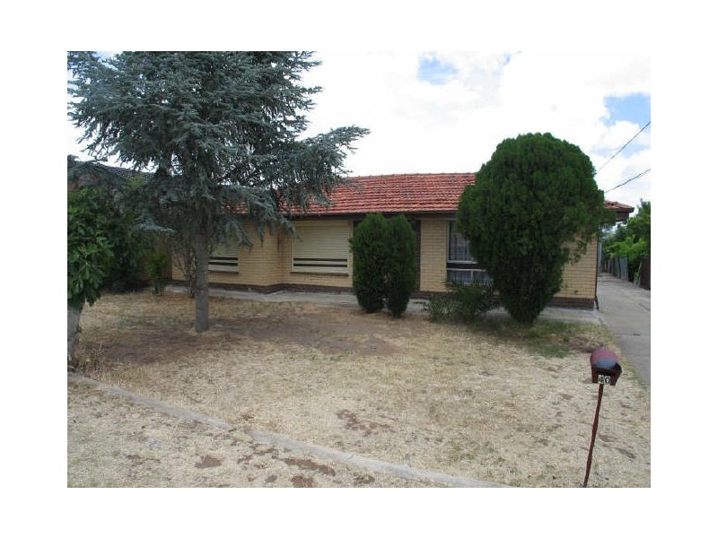 40 Avenue Road, Paradise SA 5075