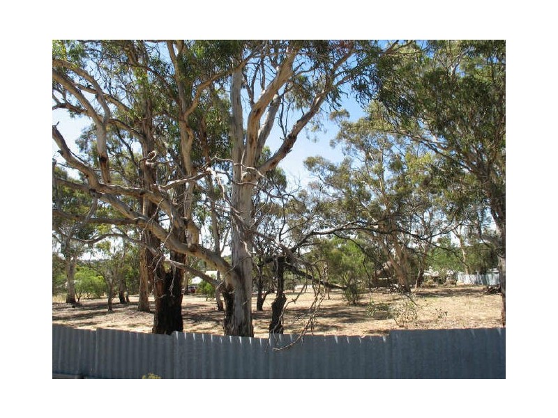 38 Burton Road, Athelstone SA 5076