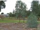 14b Arnold Ave, Firle SA 5070
