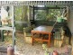 8/15 Botanic Street, Hackney SA 5069