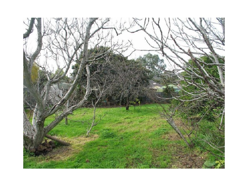 11 Jenkins Ave, Rostrevor SA 5073