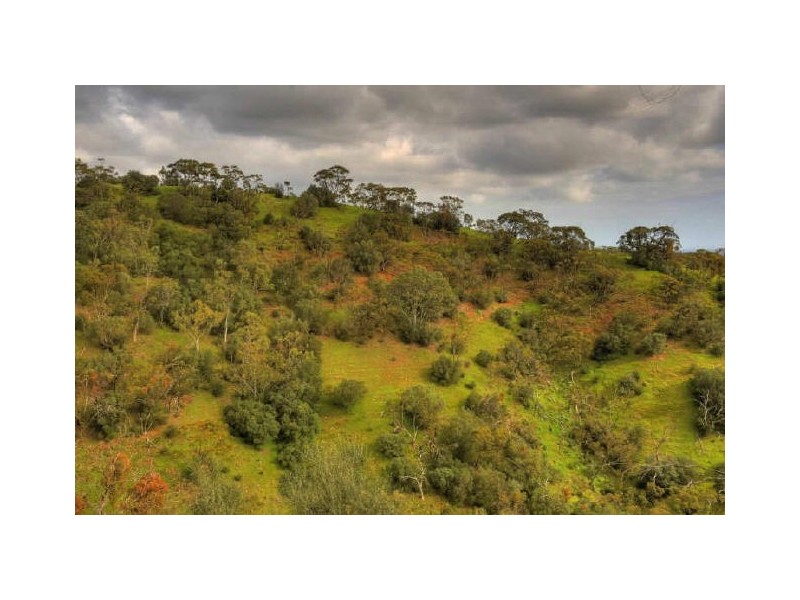 Portion of Lot 22 Wandilla Drive, Rostrevor SA 5073