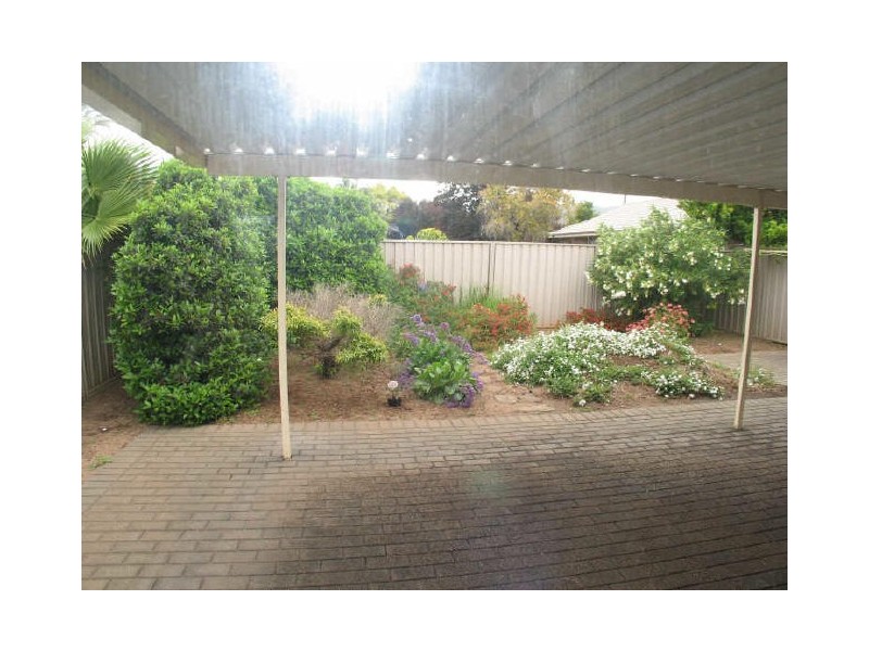 7 Alder Street, Paradise SA 5075