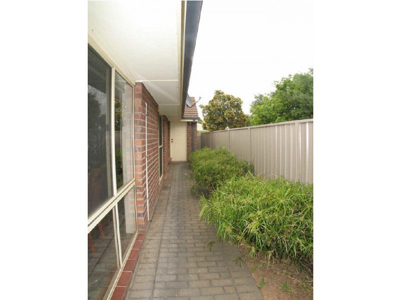 7 Alder Street, Paradise SA 5075