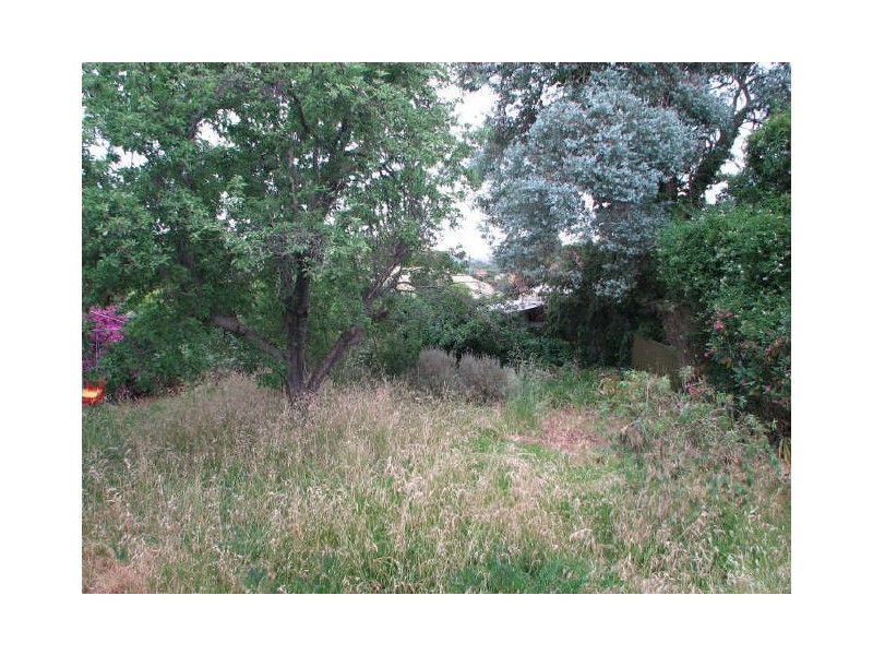 16 Glen Stuart Road, Magill SA 5072