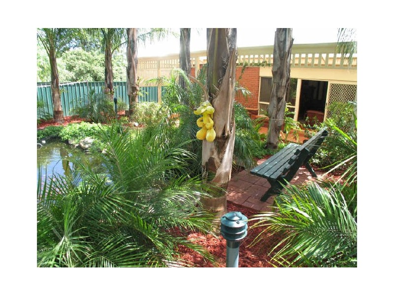 8 Hawke Street, Linden Park SA 5065