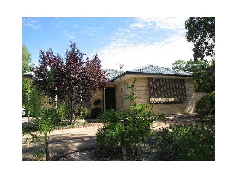 11 Meadowvale Road, Athelstone SA 5076