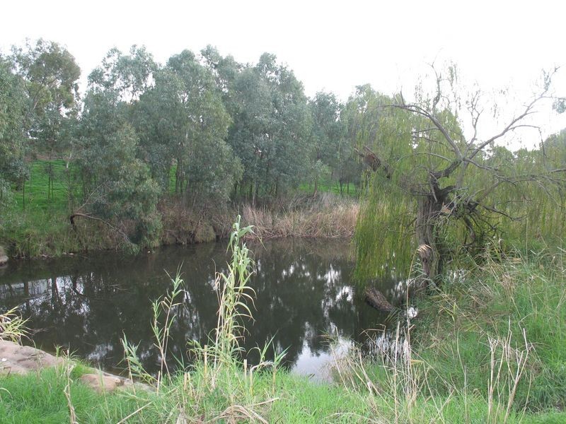 Lot 4 Pecan Close, Highbury SA 5089