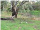 Lot 4 Pecan Close, Highbury SA 5089
