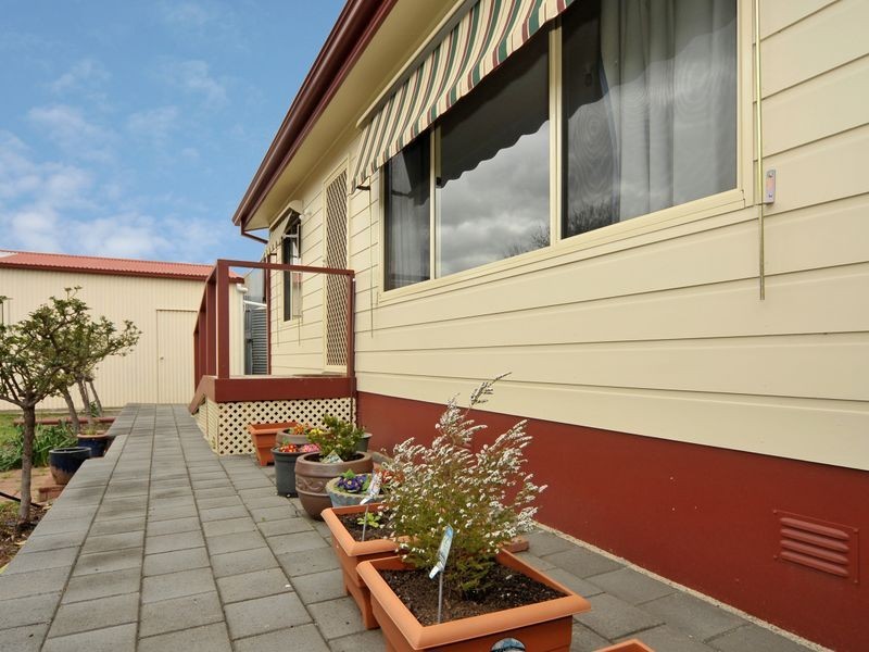 65 Alpha Road, Prospect SA 5082
