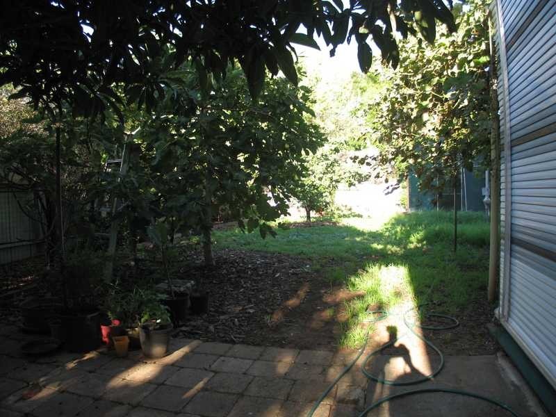 8 Gosfield Avenue, Hampstead Gardens SA 5086