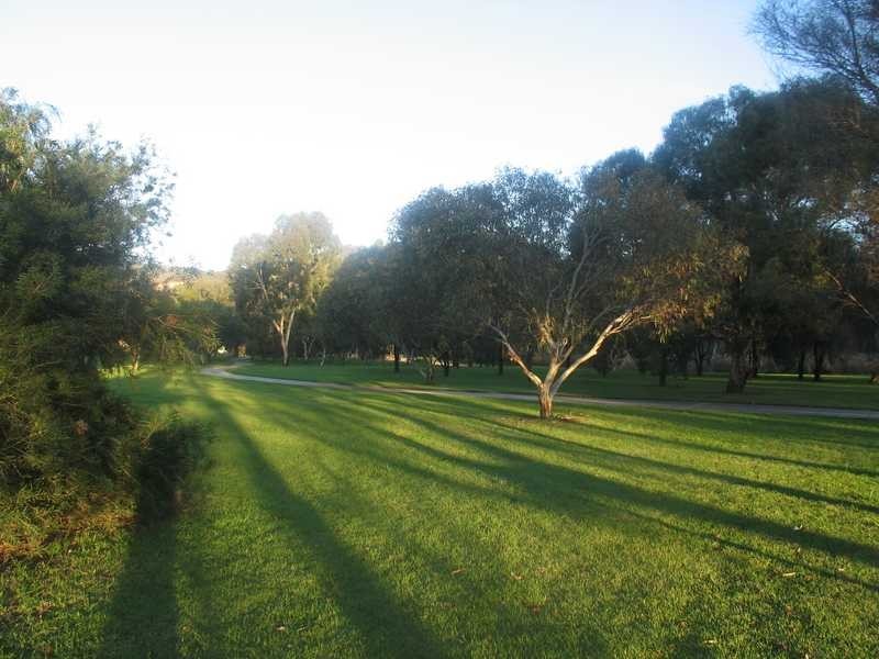 20 Pecan Close, Highbury SA 5089