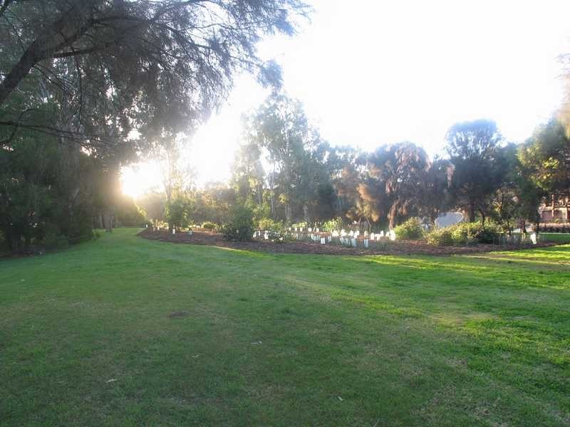 20 Pecan Close, Highbury SA 5089