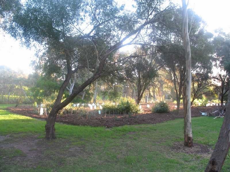 20 Pecan Close, Highbury SA 5089