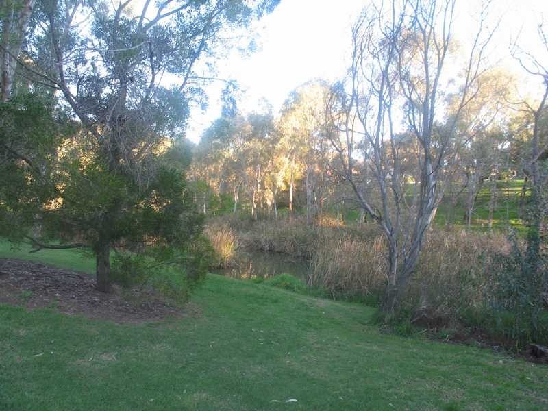 20 Pecan Close, Highbury SA 5089