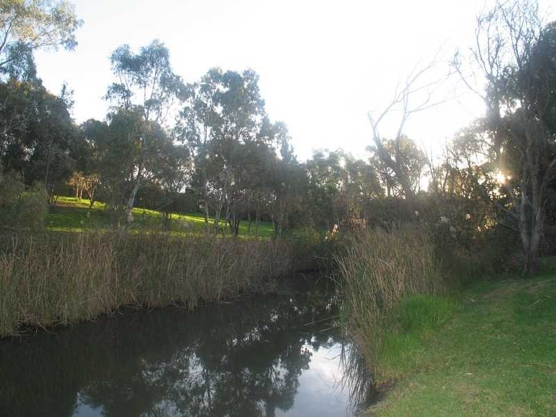 20 Pecan Close, Highbury SA 5089