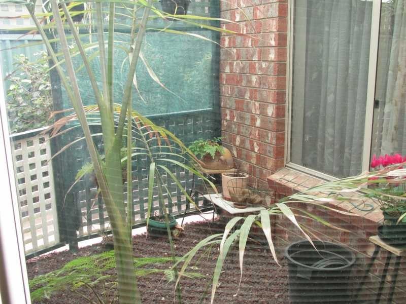 24 Ingle Close, Ingle Farm SA 5098