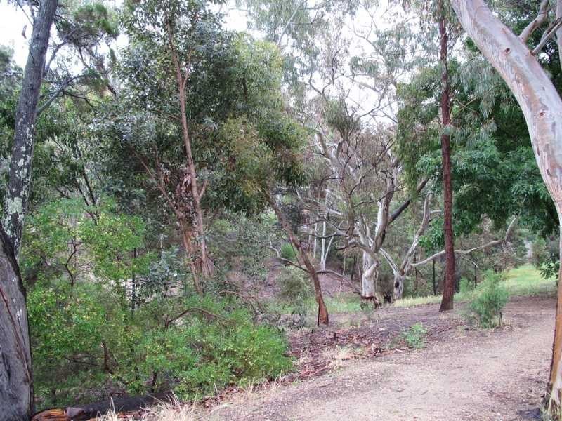 11 Highview Road, Athelstone SA 5076