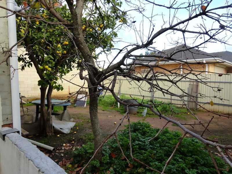 6 Atkell Avenue, Campbelltown SA 5074