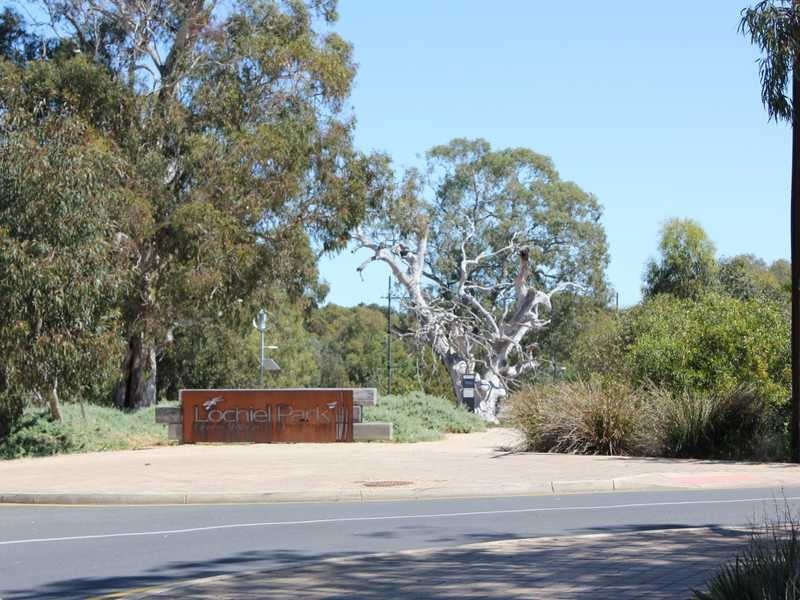 5 Riverbank Circuit, Campbelltown SA 5074