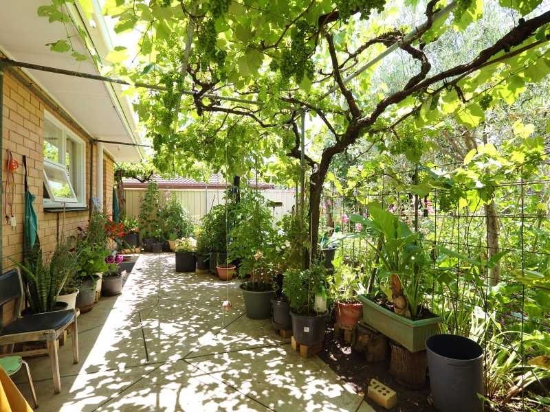 1 Morcomb Street, Stepney SA 5069