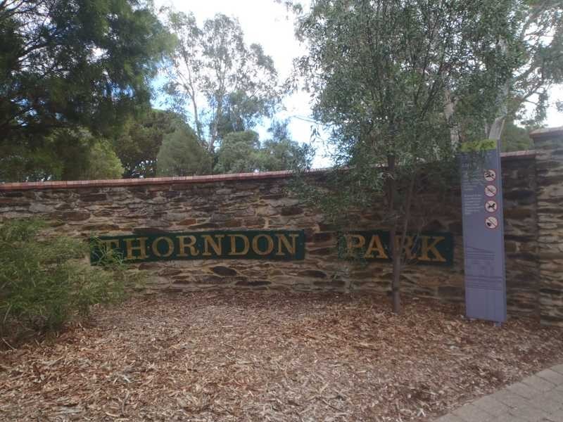 16 Tracy Court, Athelstone SA 5076