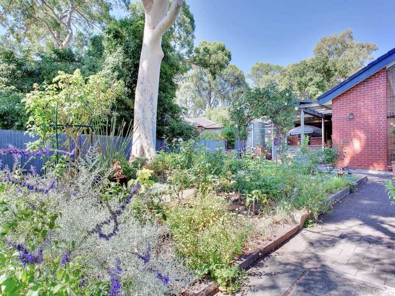 9 Hawthorn Crescent, Campbelltown SA 5074