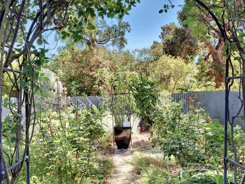 9 Hawthorn Crescent, Campbelltown SA 5074