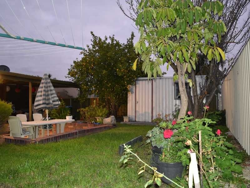 22 Theodore Ave, Athelstone SA 5076