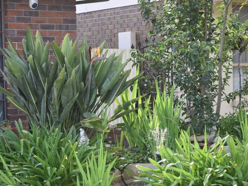 22 Theodore Ave, Athelstone SA 5076