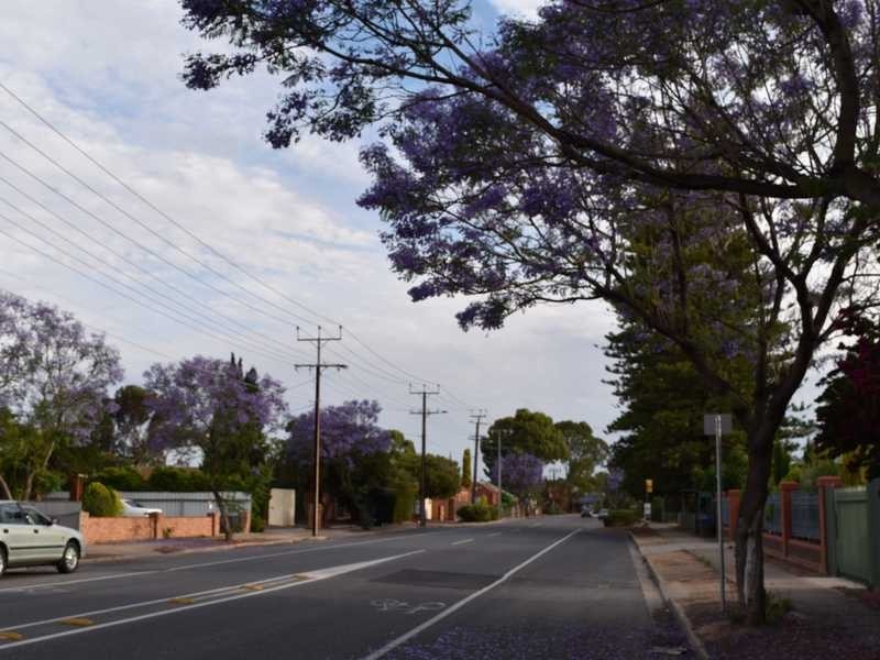 12 Bolton Ave, Devon Park SA 5008