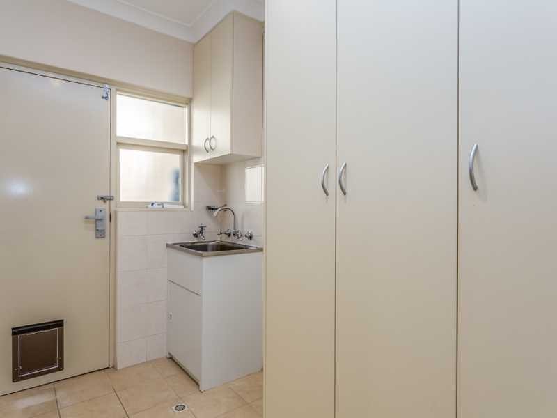 3 Virginia Grove, Athelstone SA 5076